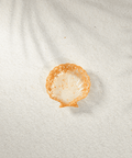 Shell Trinket Dish Exyst