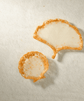 Shell Trinket Dish Exyst