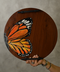 Butterfly Tray Exyst Now