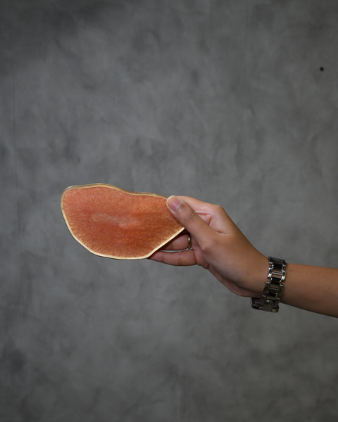 Geode Coaster Exyst Now