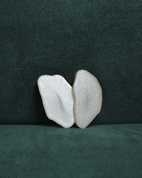 Geode Coaster Exyst Now